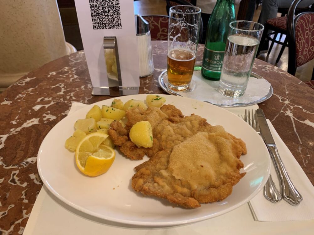 20 Best Tips for Visiting Vienna | The Common Traveler | image: schnitzel and potatoes