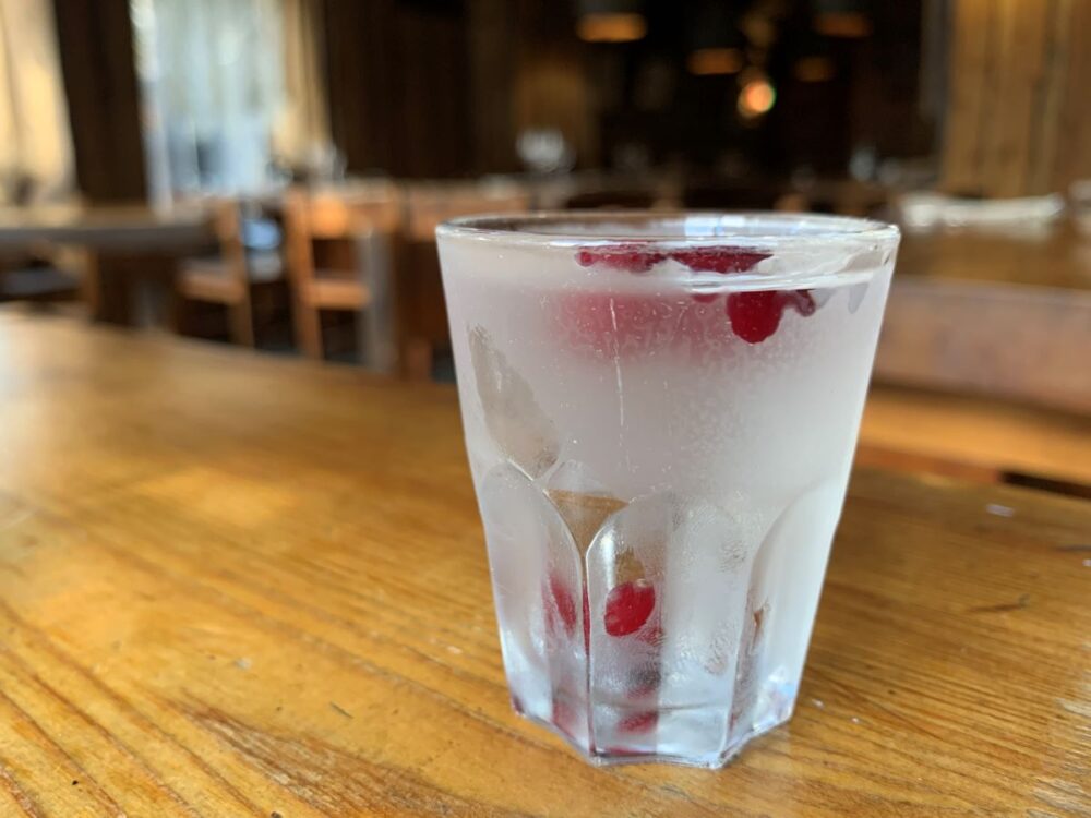 10 Best Souvenirs from Finland | The Common Traveler | image: frozen shot glass of vodka with cranberries