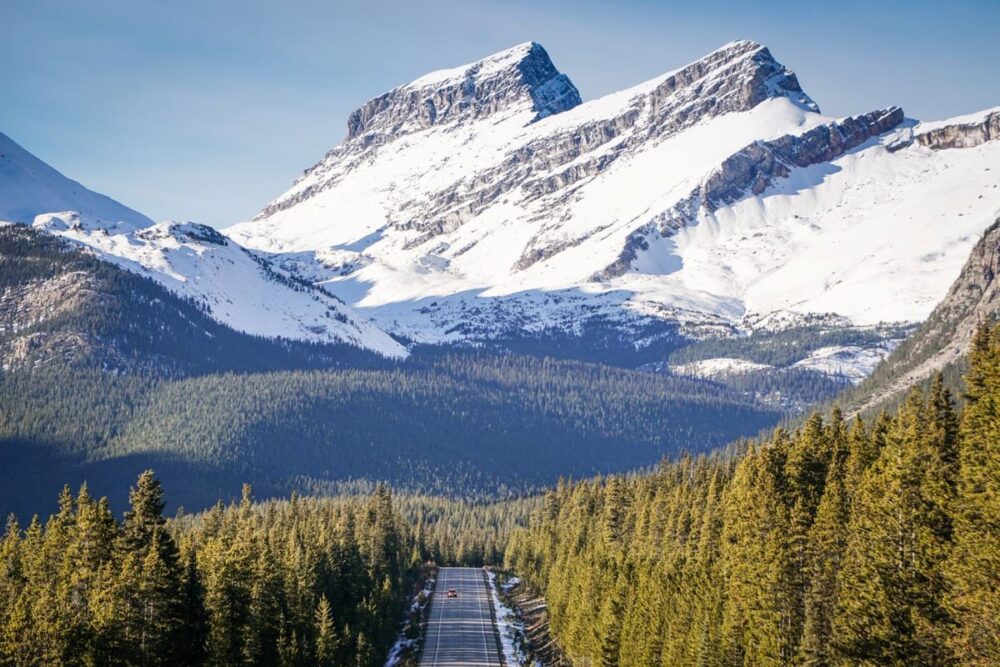 Banff Itinerary 7 Days | The Common Traveler | image: Icefields Parkway with pine trees and snowy mountains