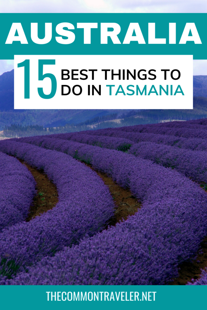 things-to-do-in-tasmania