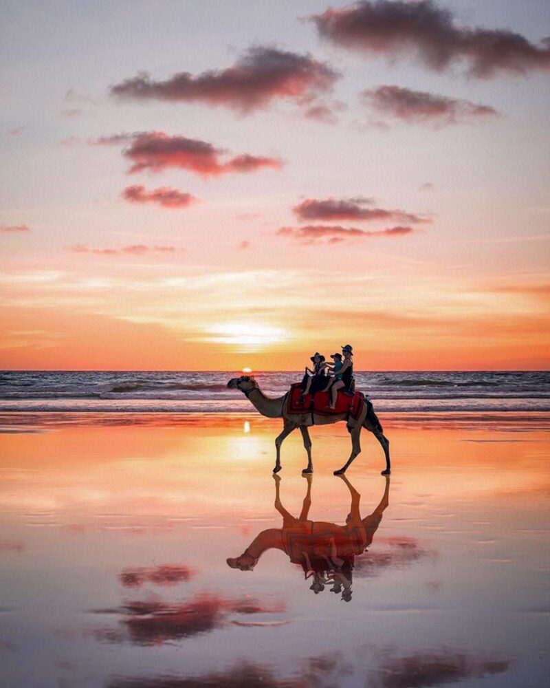 5 Amazing Beaches to Visit in Australia | The Common Traveler | image: family on camel on beach at sunset