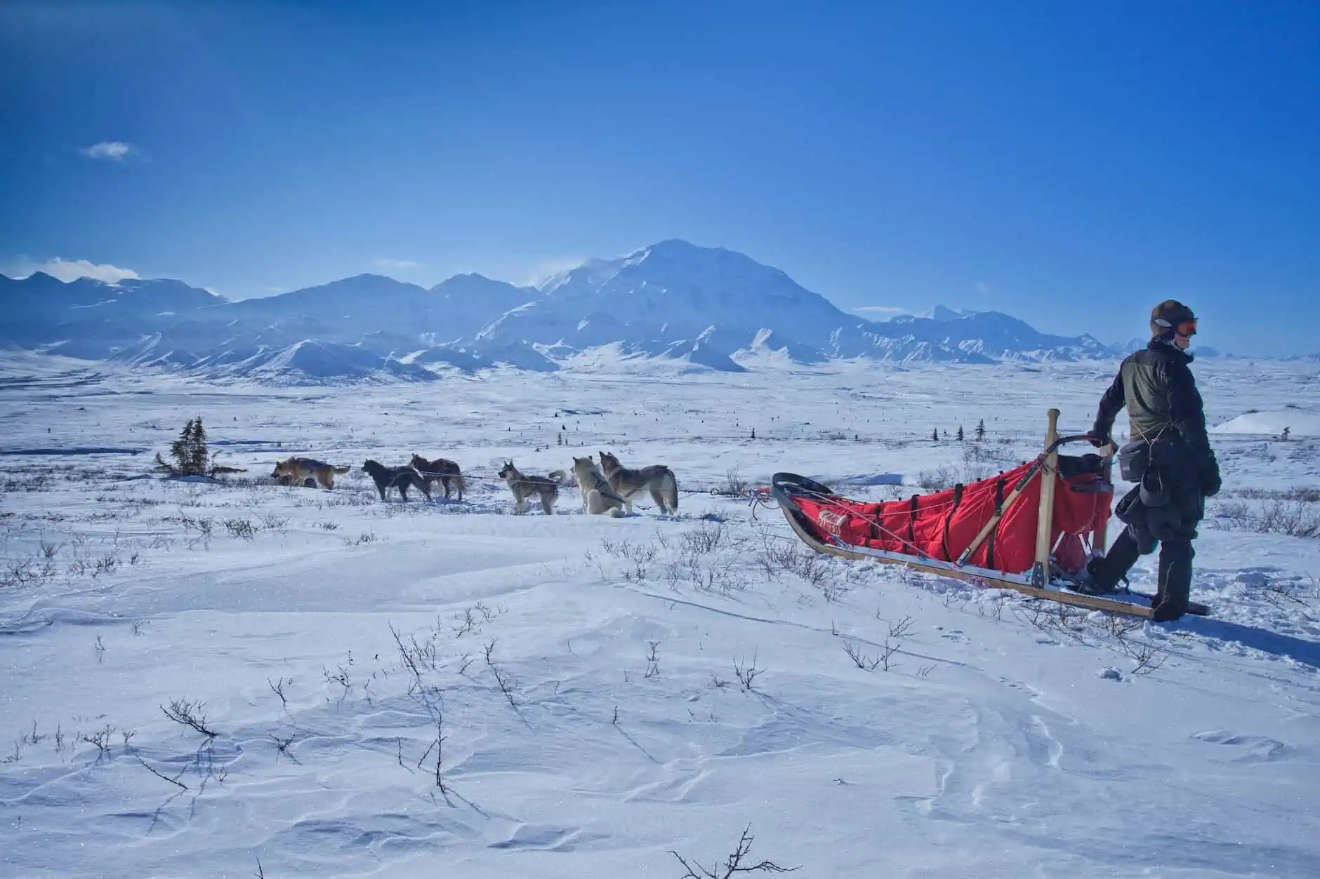 Ultimate Alaska Cruise Packing List | The Common Traveler | image: adventure alaska alpine cold