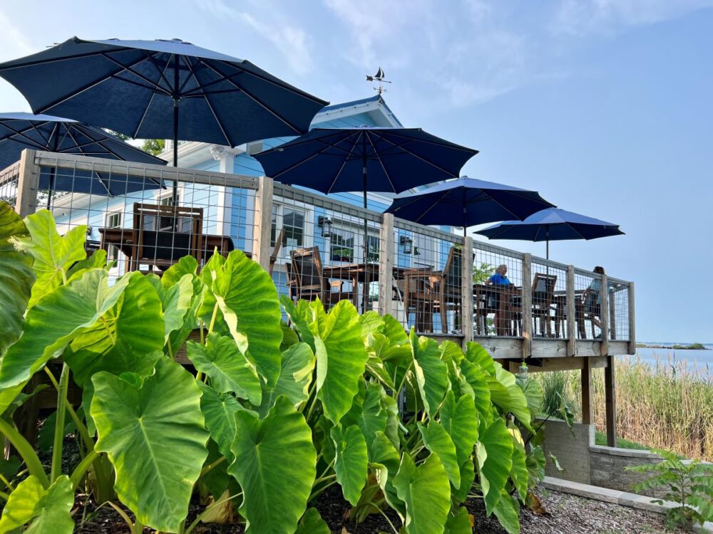 20 Things to Do on Kent Island, Queen Anne's County, MD | The Common Traveler | image: Love Point Vineyard and Winery