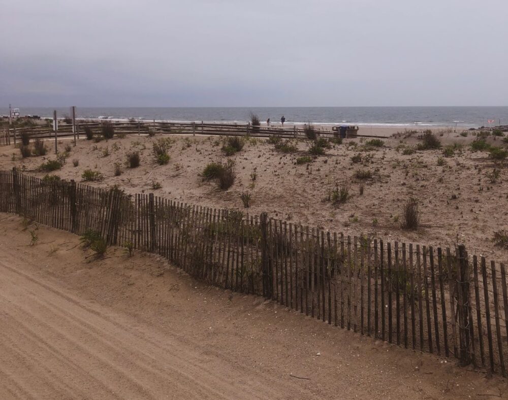 11 Best Things to Do in Ocean City NJ | The Common Traveler | image: beach and dunes in Ocean City NJ