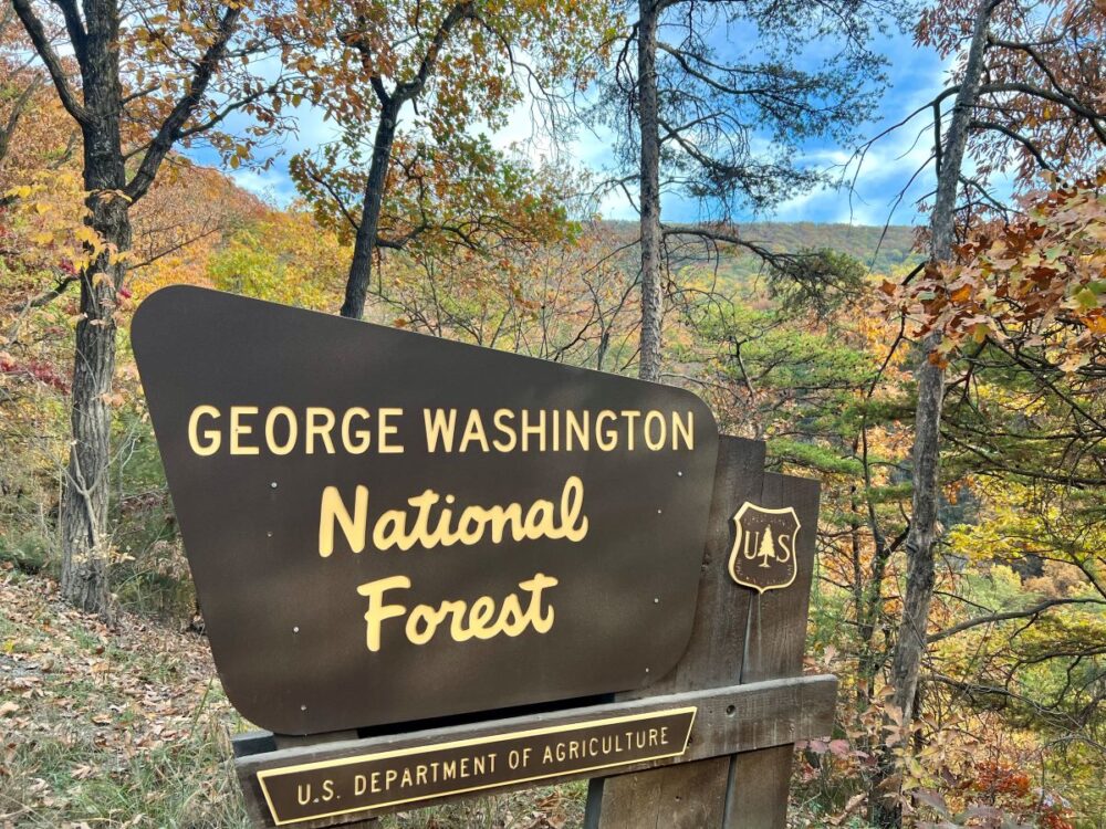 Best Things to Do in Woodstock, Virginia | The Common Traveler | image: George Washington National Forest sign