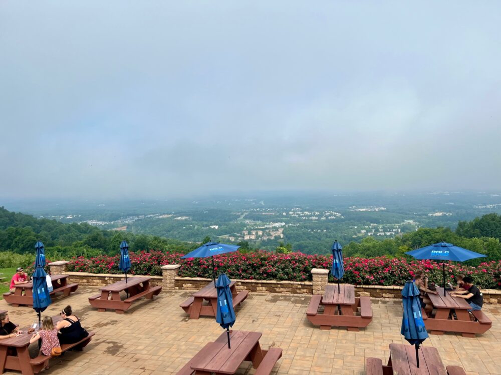 15+ Amazing Things to Do in Charlottesville, Virginia | The Common Traveler | image: picnic tables with view at Carter Mountain Orchard