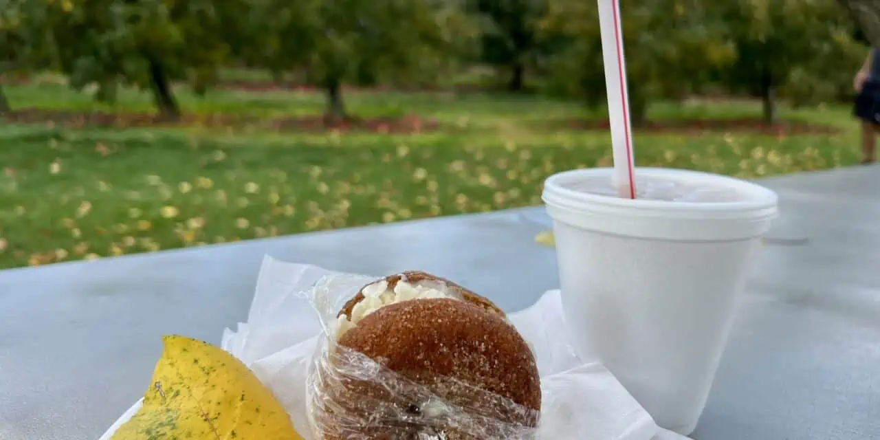 Weekend Itinerary: Best Things to Do in Winchester, VA