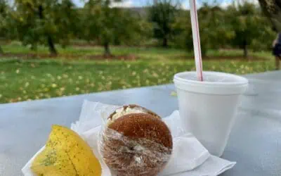 Weekend Itinerary: Best Things to Do in Winchester, VA