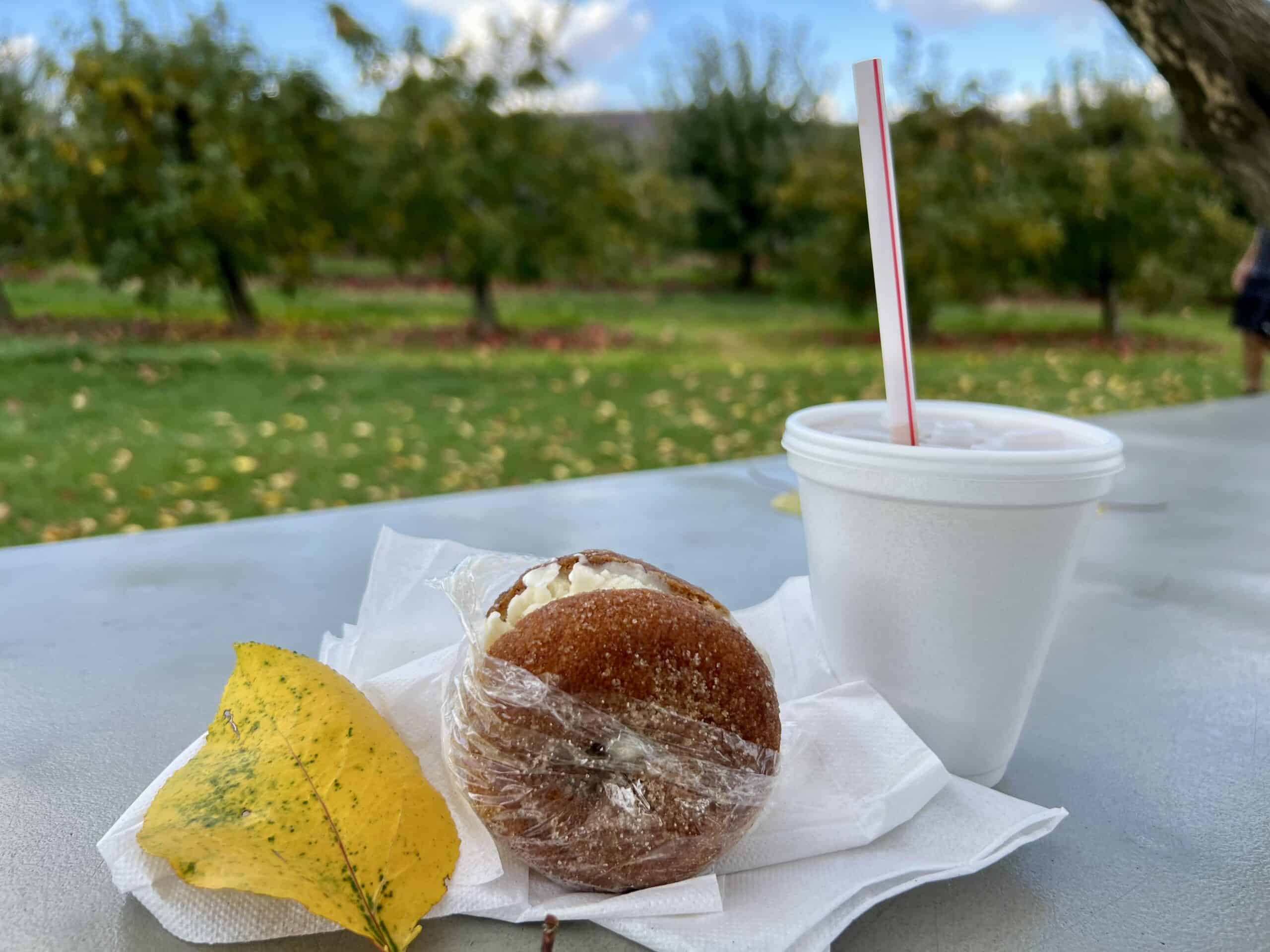 Weekend Itinerary: Best Things to Do in Winchester, VA 