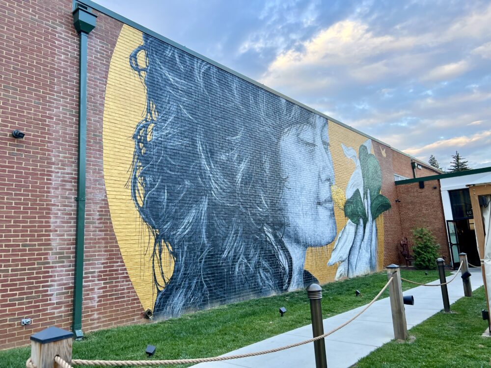 Weekend Itinerary: Best Things to Do in Winchester, VA | The Common Traveler | image: mural at Vibrissa Beer & Kitchen