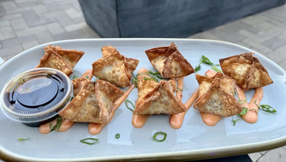 Winchester VA Craft Beverage Trail (map included!) | The Common Traveler | image: crispy wontons at Vibrissa Beer
