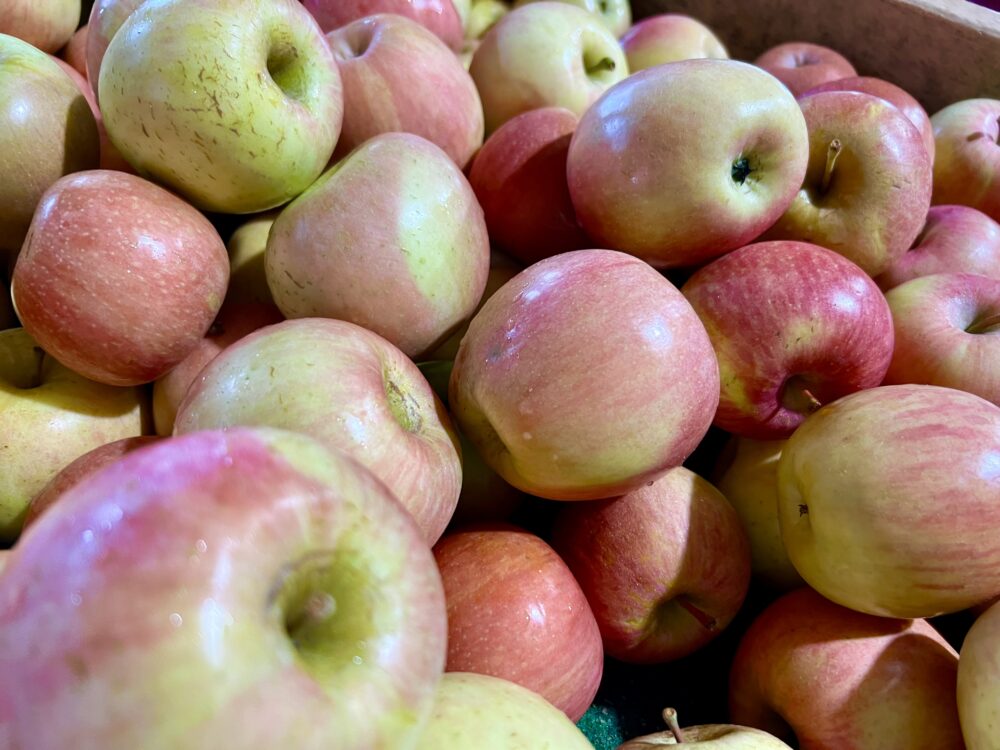 Winchester VA Craft Beverage Trail (map included!) | The Common Traveler | image: apples