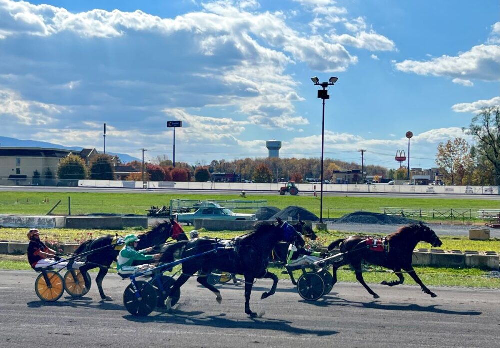 Best Things to Do in Woodstock, Virginia | The Common Traveler | image: horses at Shenandoah Downs harness races