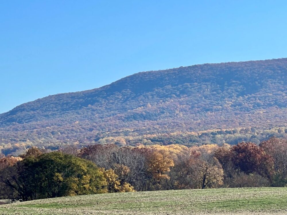 Best Things to Do in Woodstock, Virginia | The Common Traveler | image: rolling hill along Route 11