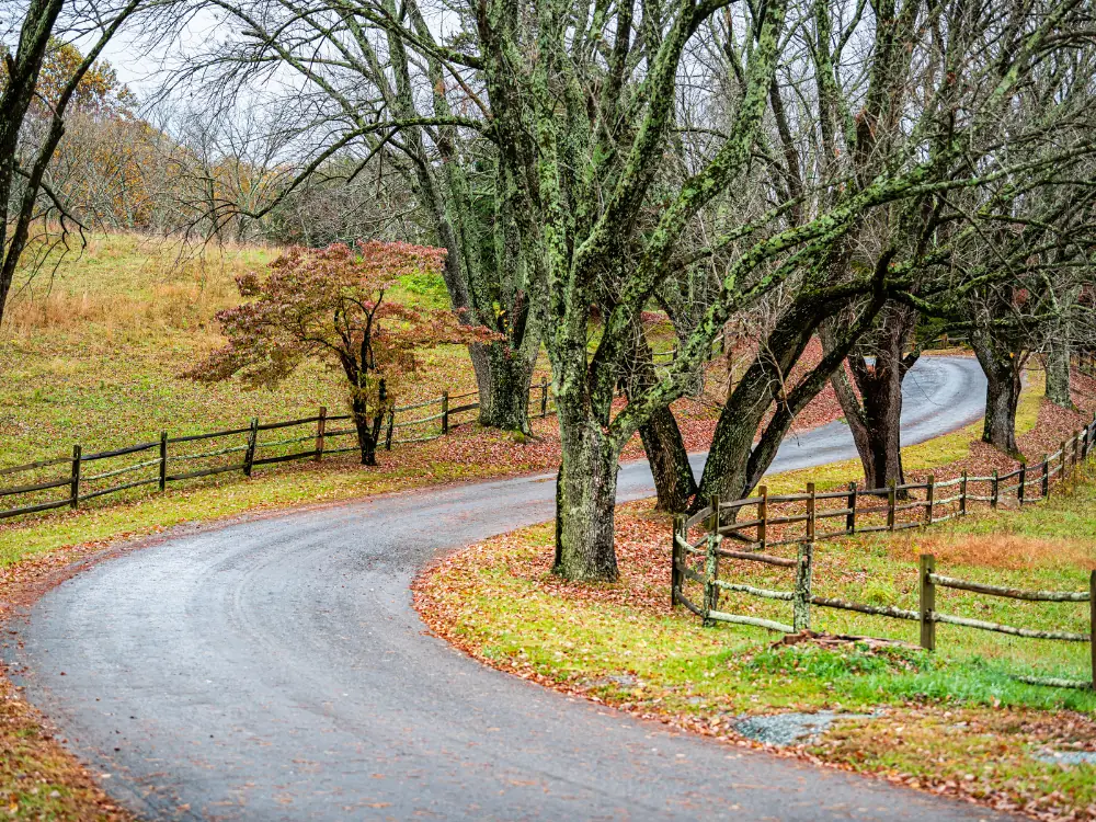 15+ Amazing Things to Do in Charlottesville, Virginia | The Common Traveler | image: winding road leading to James Monroe's Highland home