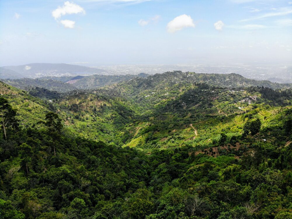 15+ Best Fun Things to Do in Jamaica | The Common Traveler | image: Blue Mountain