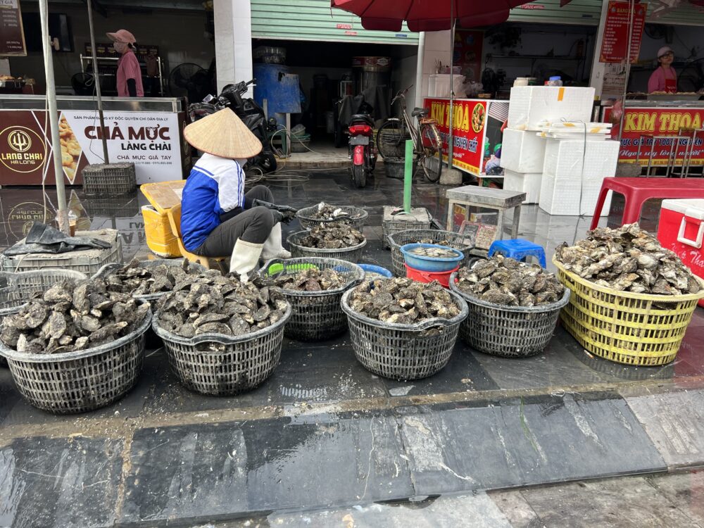 Incredible Things to Do in Halong Bay | The Common Traveler | image: baskets of oysters at local market