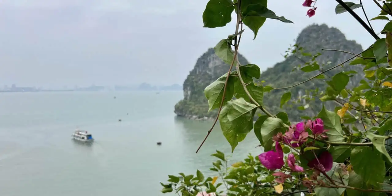 Discover Incredible Things to Do in Halong Bay