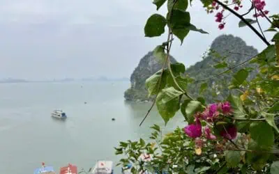 Discover Incredible Things to Do in Halong Bay