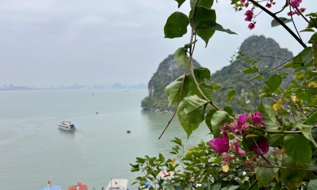 Discover Incredible Things to Do in Halong Bay