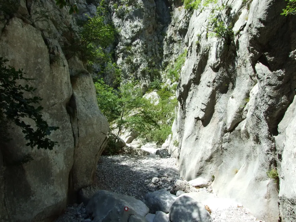 Best Day Trips From Split, Croatia | The Common Traveler | image: Canyon in Paklenica National Park