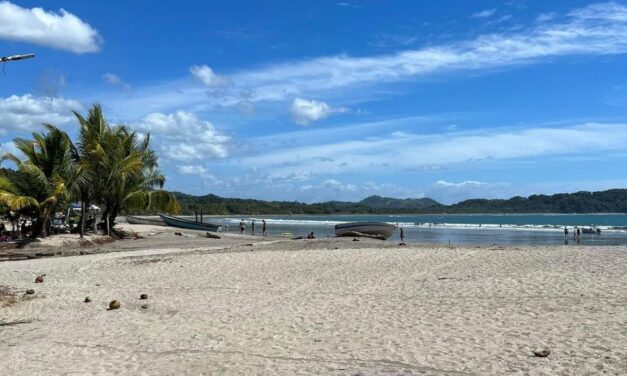 Best Things to Do in Jaco: Adventure, Nature & Tours