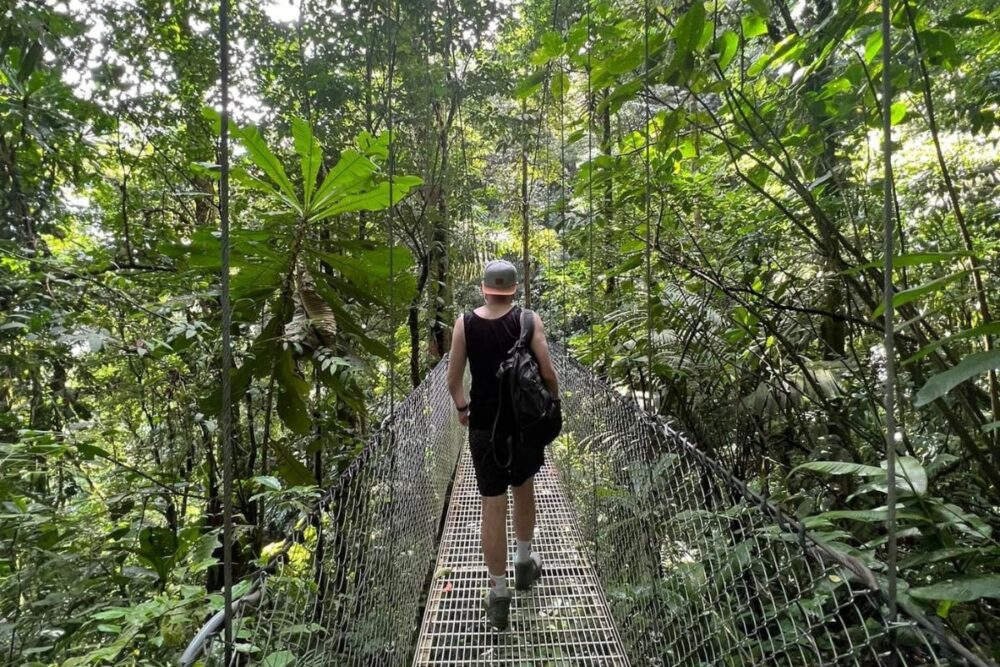 Things to Do in Jaco | The Common Traveler | image: person on hanging bridge in jungle