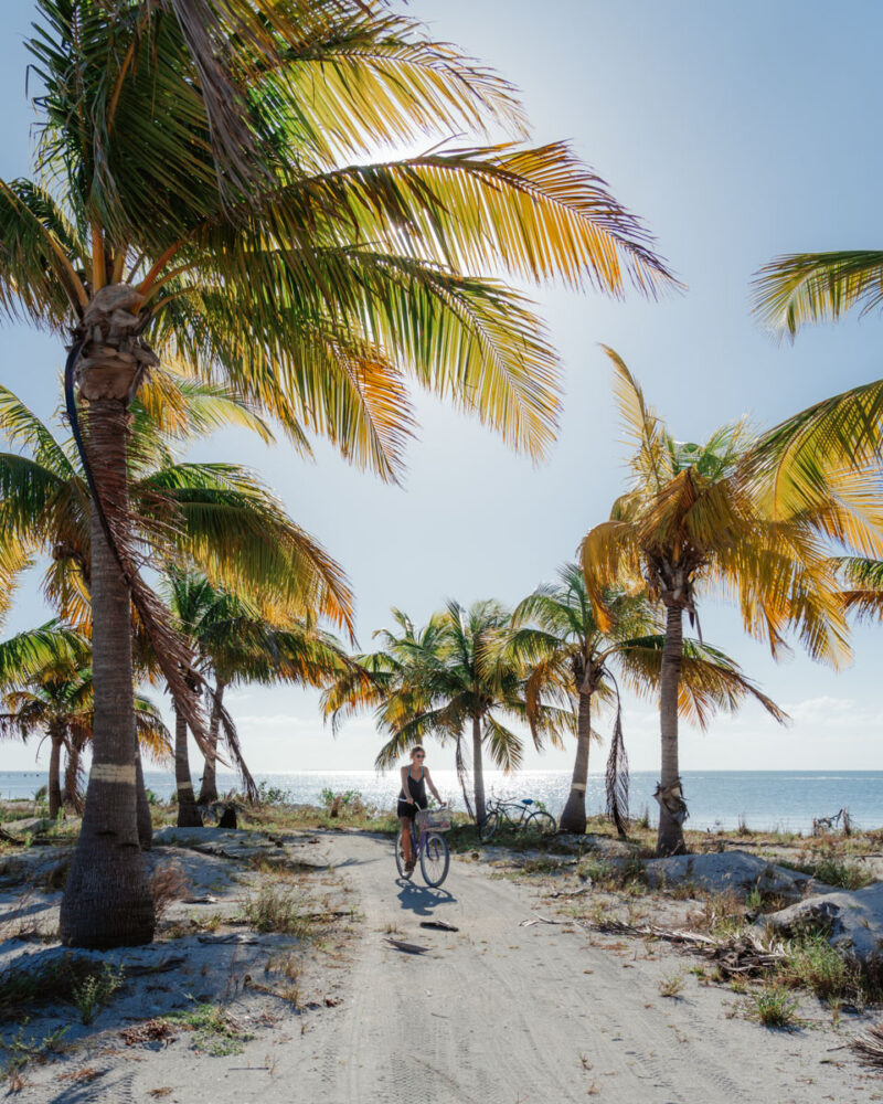 Caye Caulker or Ambergris Caye? | The Common Traveler | image: woman on bicycle among palm trees