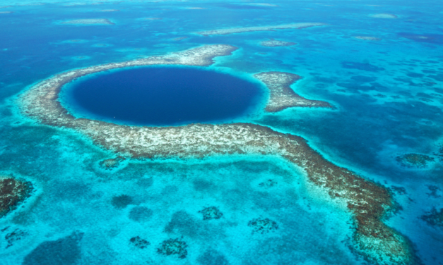 Caye Caulker or Ambergris Caye: Which Belizean Island Is Right For You?