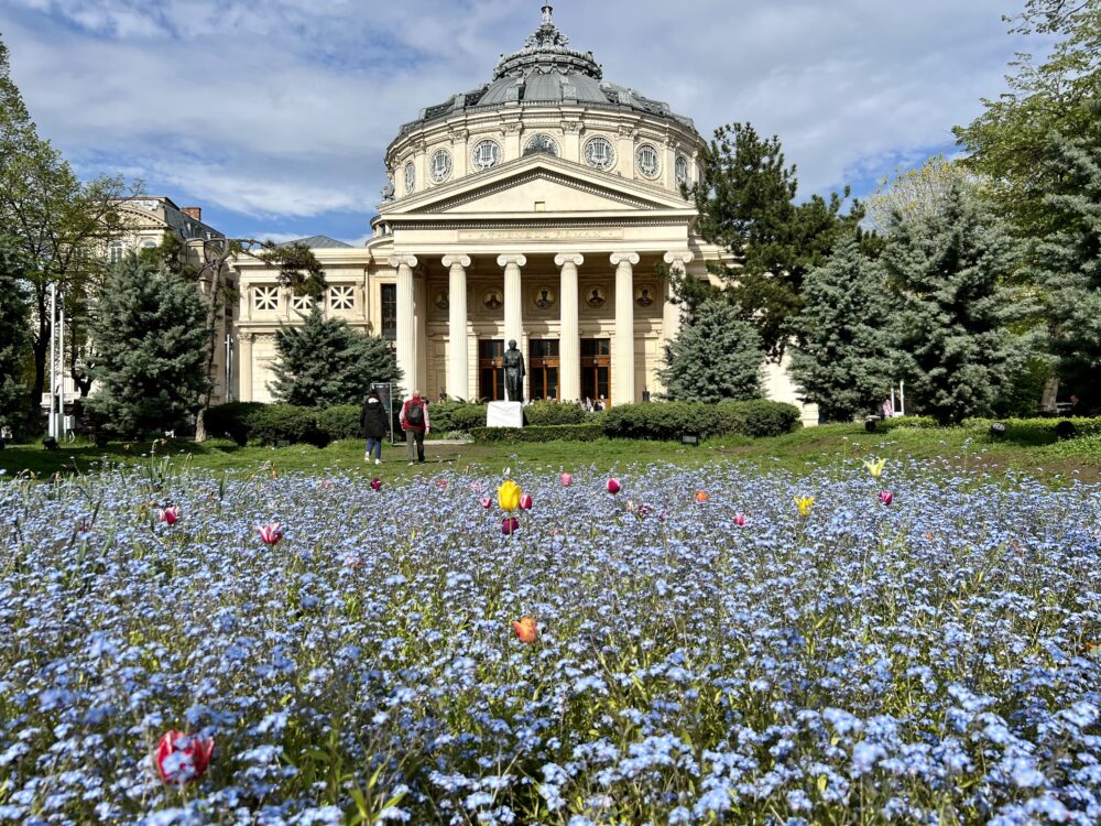 Things to Do in Bucharest | The Common Traveler | image: Romanian Atheneum
