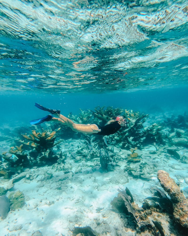 Caye Caulker or Ambergris Caye? | The Common Traveler | image: woman snorkeling in Belize