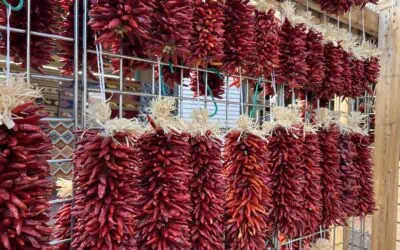 11 Quirky Souvenirs From New Mexico: Ideas for Great Gifts