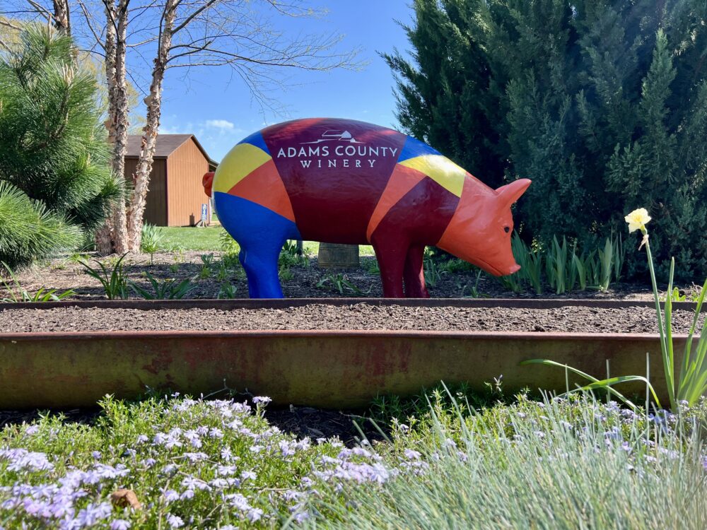 Insta-Worthy Photo Spots in Gettysburg and Adams County | The Common Traveler | image: colorful Adams County Winery pig statue