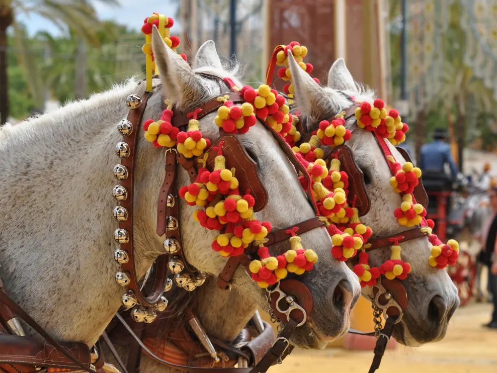 Great Reasons to Visit Jerez de la Frontera | The Common Traveler | image: horses in Andalusia