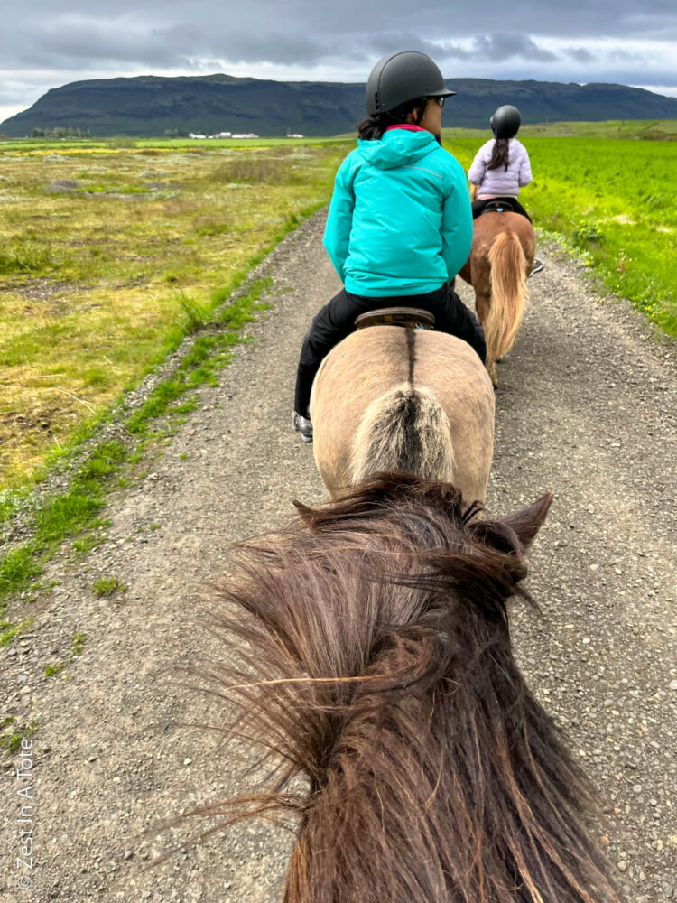 Best Things to Do in Vik, Iceland | The Common Traveler | image: horseback riding