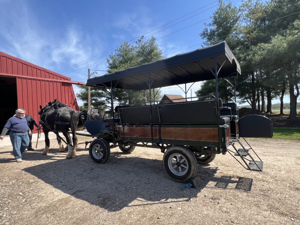 Hidden Gems in Gettysburg and Adams County | The Common Traveler | image: horse carriage at Silvershire Farm