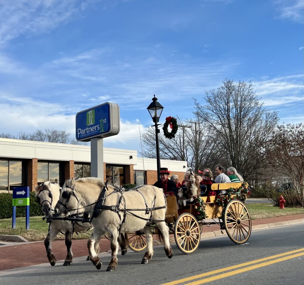Horse drawn carriage in Gordonsville, VA