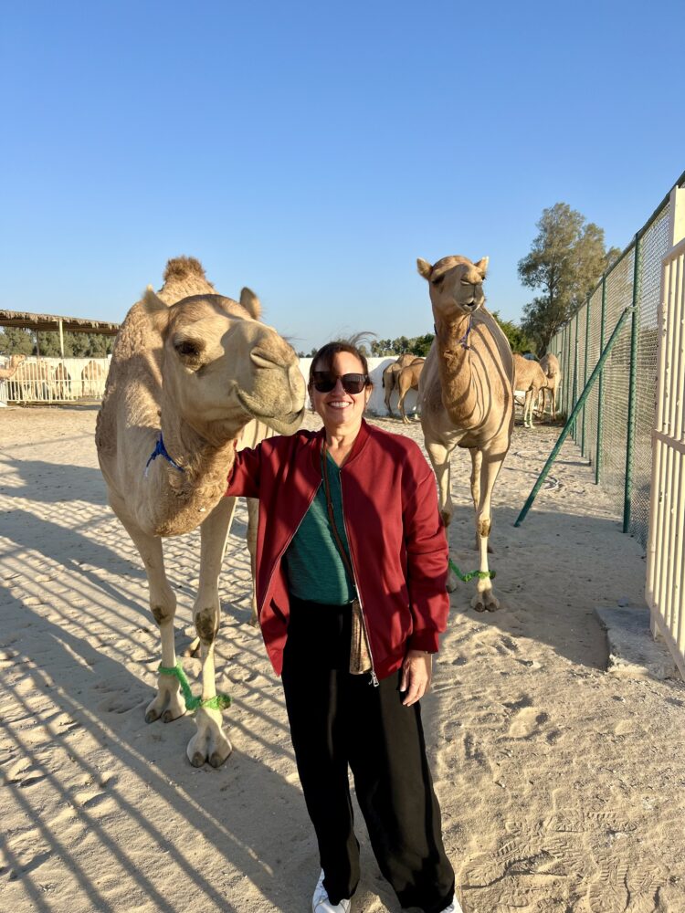 24 Hours in Bahrain Itinerary | The Common Traveler | image: woman with camels at Royal Camel Farm