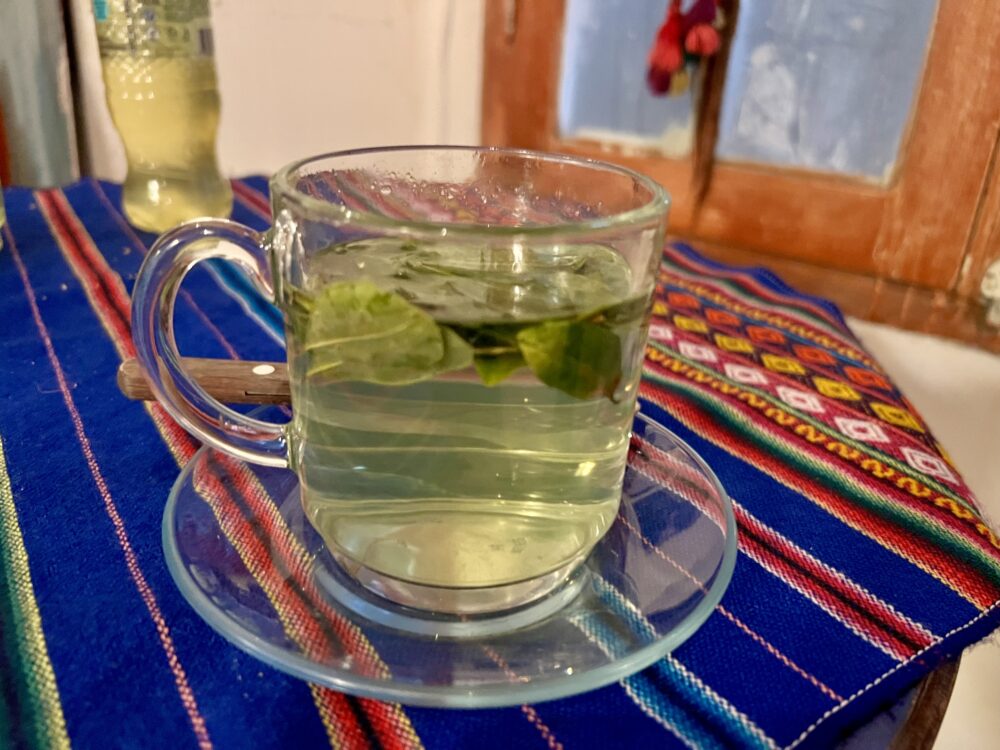 Traditional Bolivian Foods to Try | The Common Traveler | image: cup with coca tea