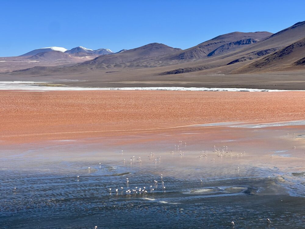 A Traveler's Guide: Tips to Prevent Altitude Sickness | The Common Traveler | image: Lago Colorado, Bolivia