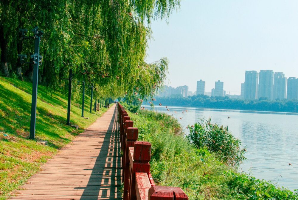 Secret Spots in Singapore | The Common Traveler | image: Shenshuiwan Park Promenade