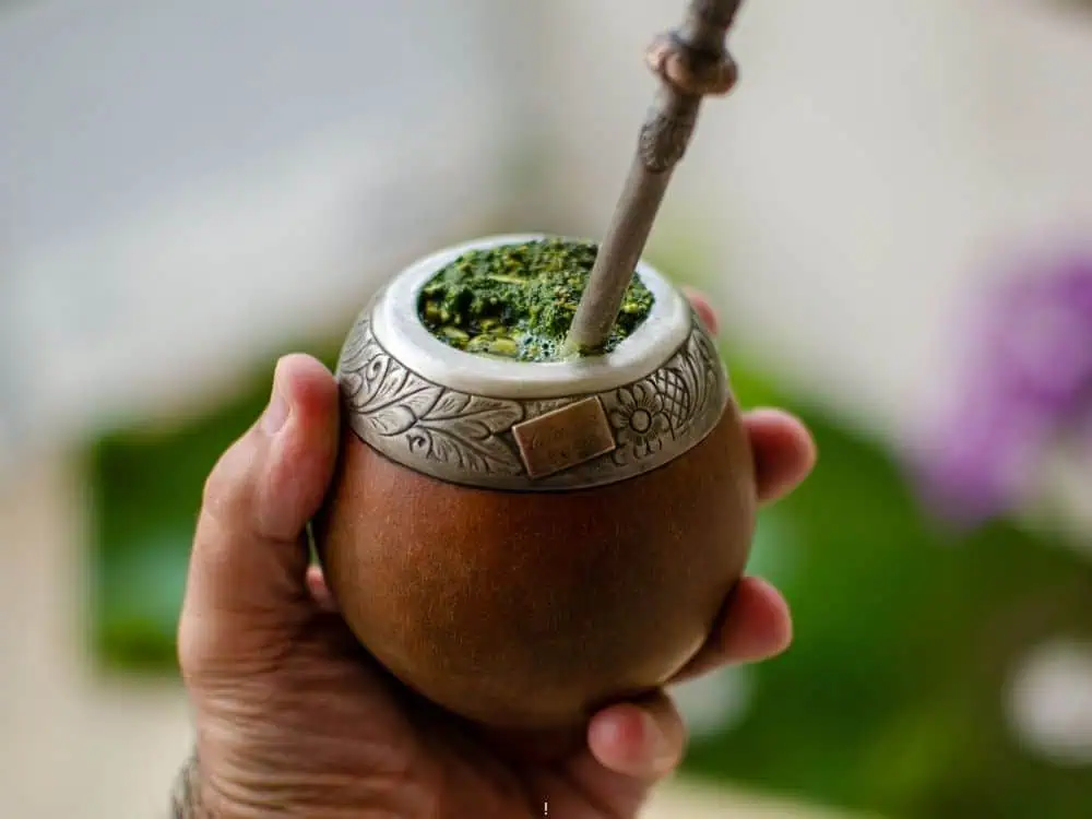 Best Foods and Drinks to Try in Argentina | The Common Traveler | image: hand holding a yerba mate