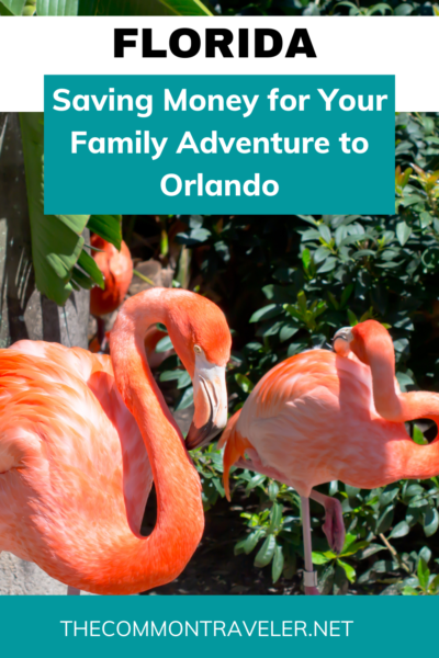 Saving Money for Your Family Adventure to Orlando | The Common Traveler shares easy tips to lower the stress on your budget while enjoying Orlando, Florida, with your family. Check it out!
