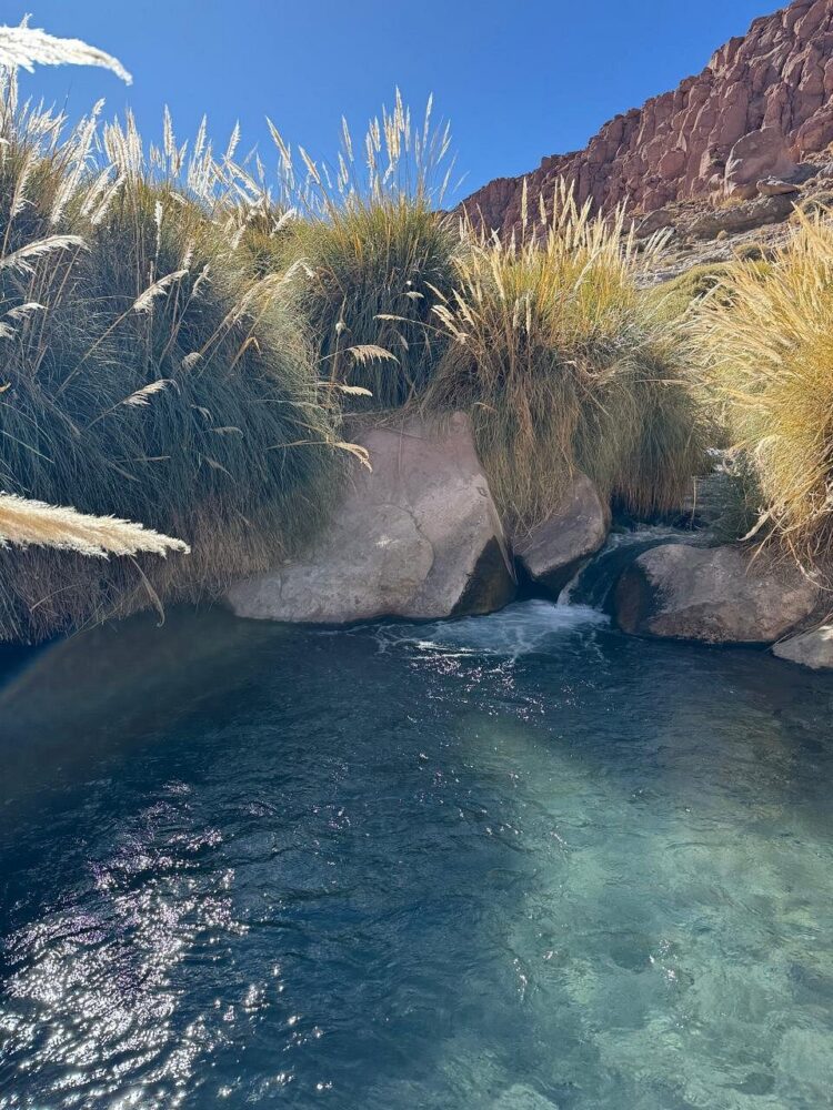 San Pedro de Atacama | The Common Traveler | image: clear hot springs surrounded by rocks and desert grass