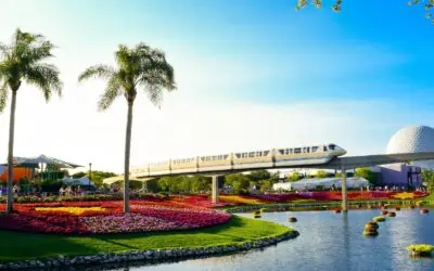 Affordable Family Adventures: Travel Tips That Save You Money