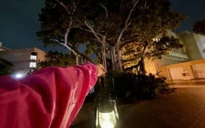 Ghosts, Gators, and Good Vibes: Haunted Places to Visit in Fort Myers, Florida