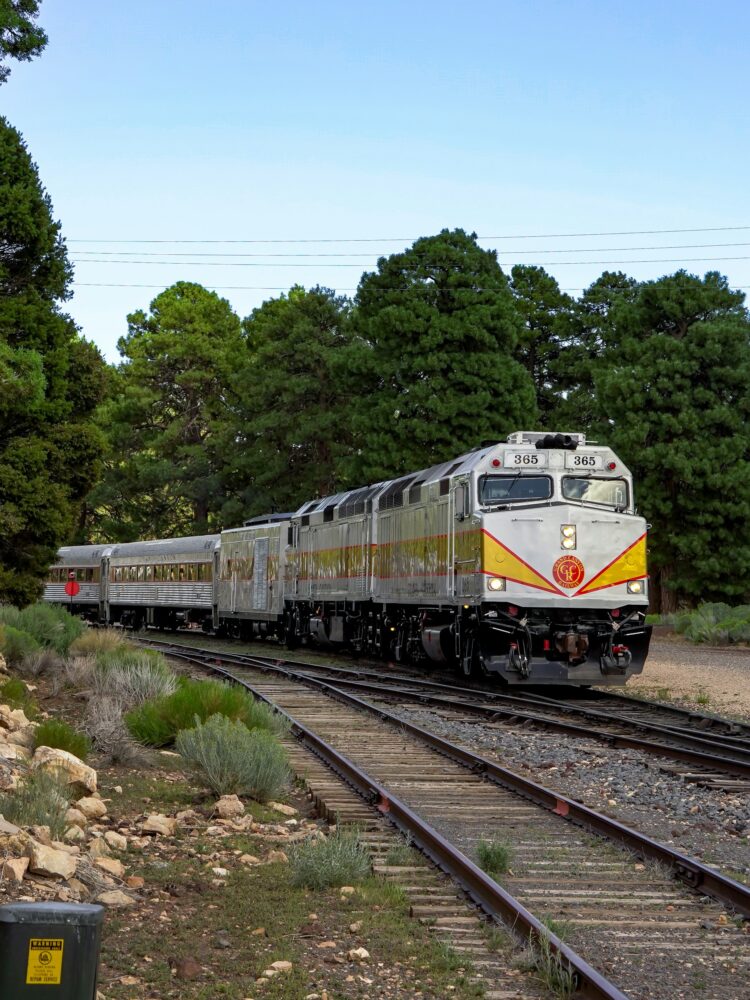 Best Scenic Steam Train Rides in America | The Common Traveler | image: silver and yellow train