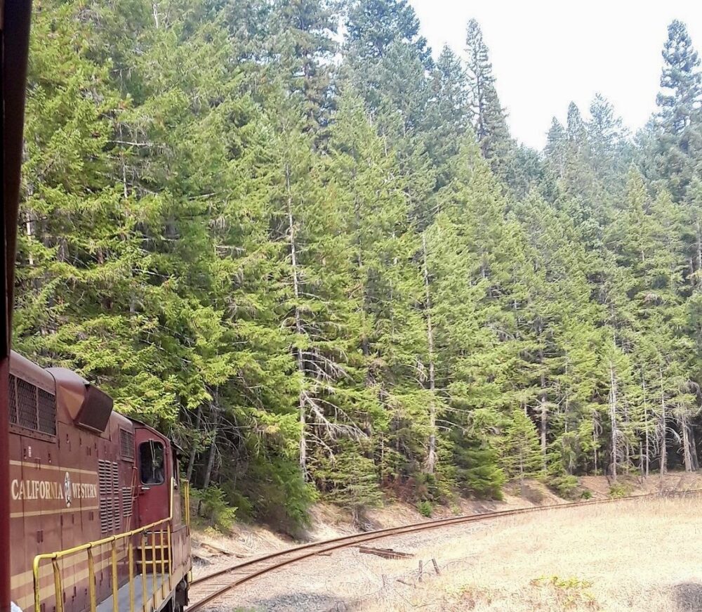 Best Scenic Steam Train Rides in America | The Common Traveler | image: red California Western train surrounded by pine trees