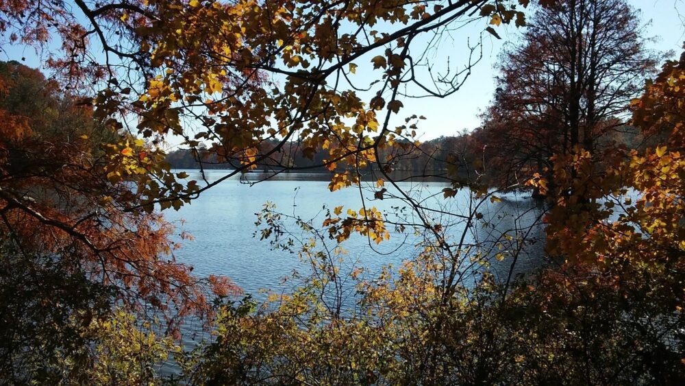 Ghost Tour in Virginia Beach | The Common Traveler | image: Stumpy Lake through fall foliage